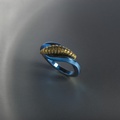 Splendid titanium ring with K18 gold