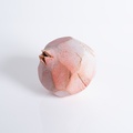 Pink faceted pomegranate