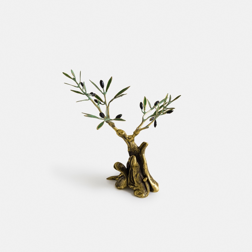 Bronze olive tree with an amazing trunk