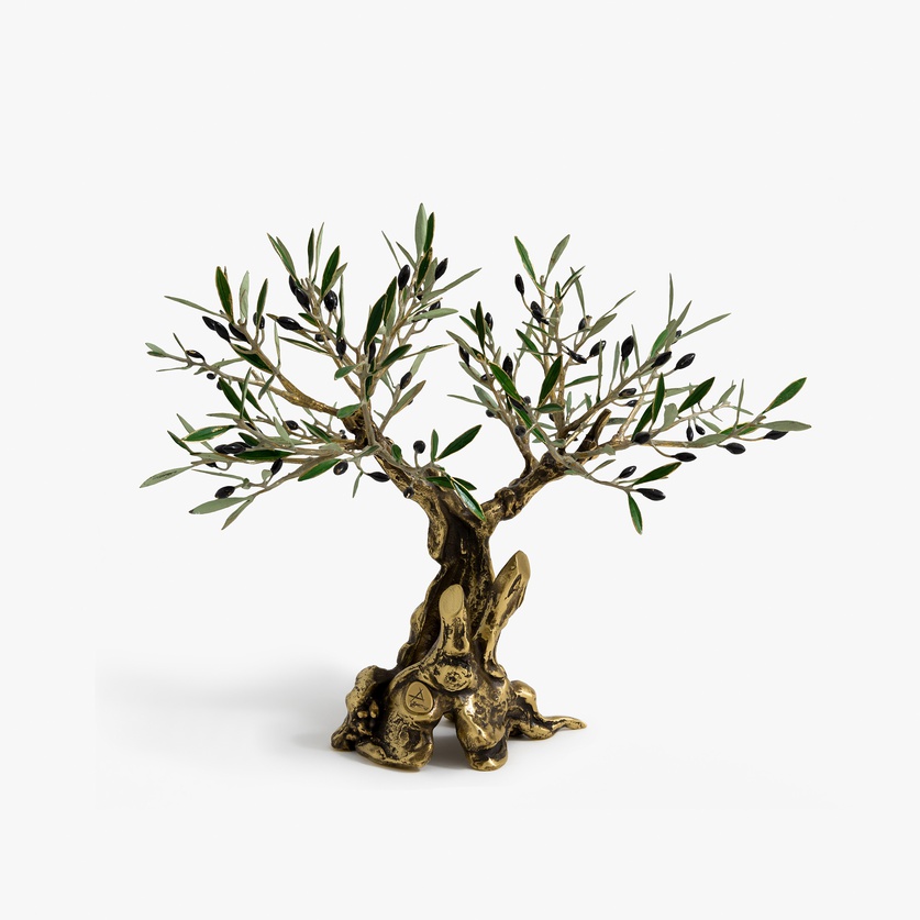 Bronze century-old olive tree