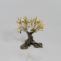 Bronze olive tree