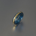 Forged double ring in titanium and gold