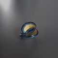 Superb ring in titanium and gold
