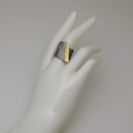 Black silver ring in modern line combined with gold K18