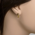 Elegant earrings in gold with diamonds