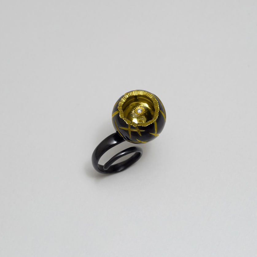 Astonishing ring in titanium & gold with brilliant diamond
