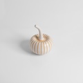 Pumpkin (small size)