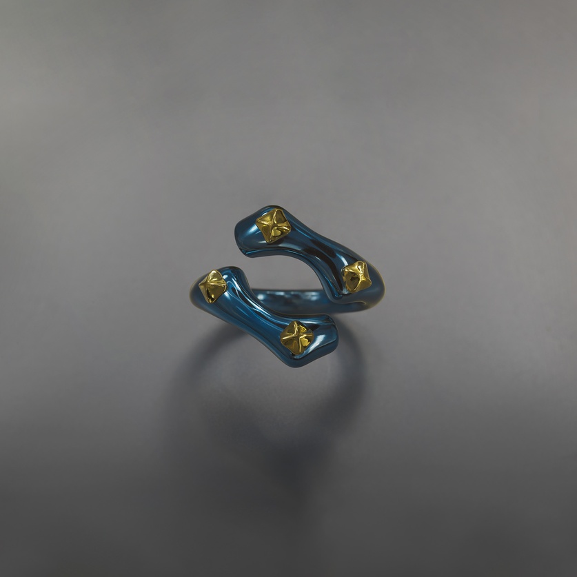 Titanium ring of bold style and design with gold details